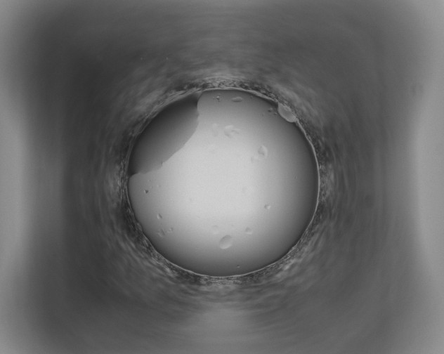 X0000110711157200906121050