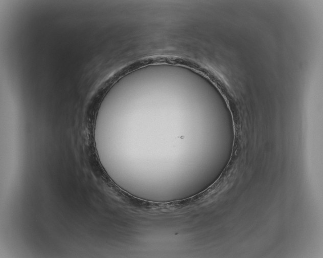 X0000110711159200906121050