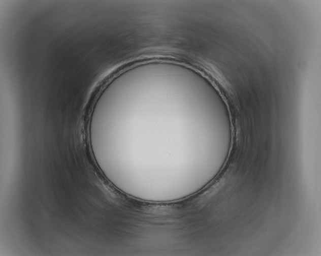 X0000110711164200906121050