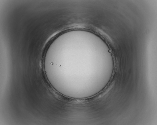 X0000110711166200906121050