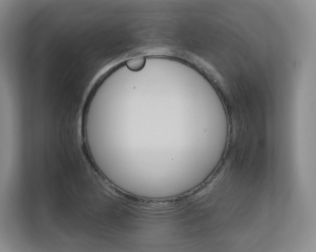 X0000110711174200906121050