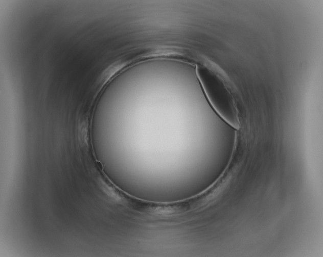 X0000110711177200906121050