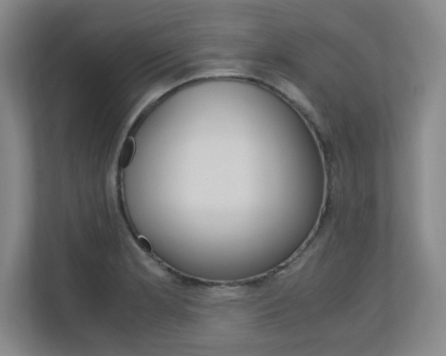X0000110711181200906121050
