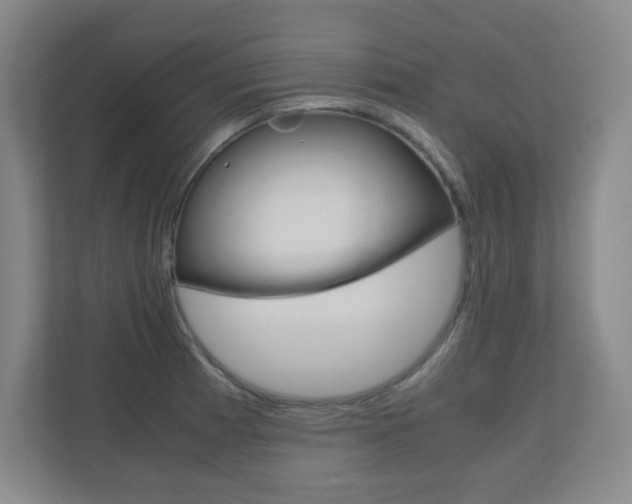X0000110711185200906121050