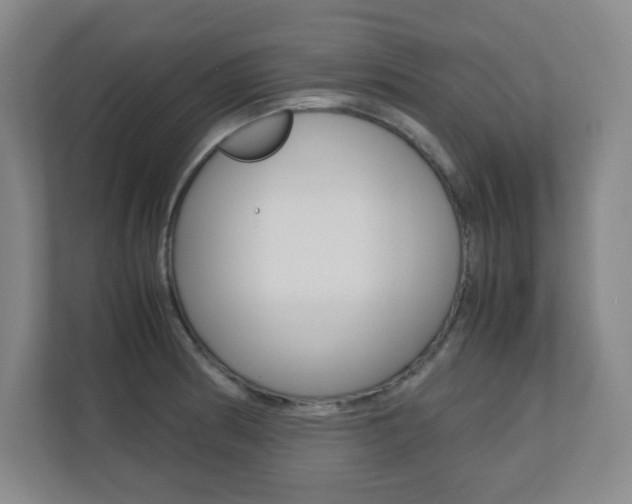 X0000110711186200906121050