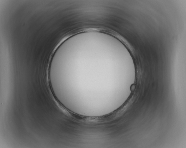 X0000110711194200906121049
