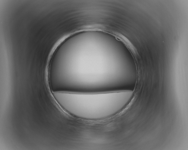 X0000110711196200906121049