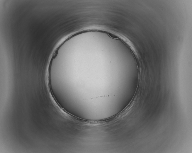 X0000110711199200906121049