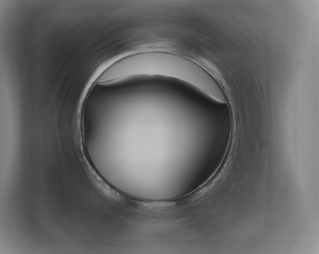 X0000110711200200906121049