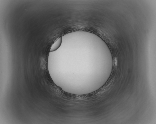 X0000110711203200906121049