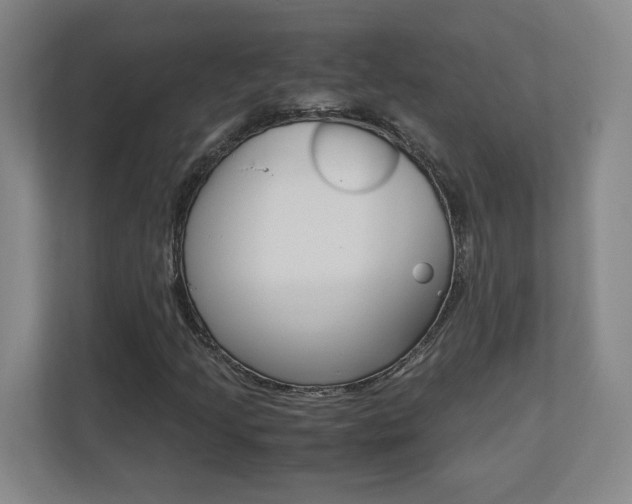 X0000110711205200906121049