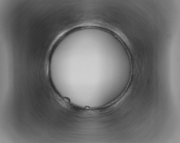 X0000110711224200906121049