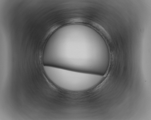 X0000110711225200906121049