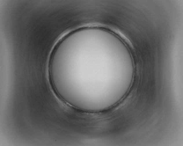 X0000110711229200906121049