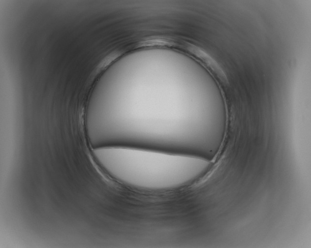 X0000110711233200906121049