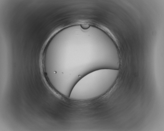 X0000110711235200906121049