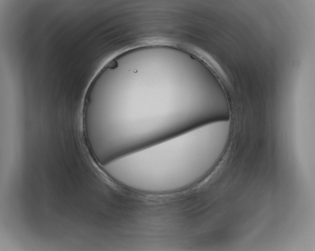 X0000110711236200906121049
