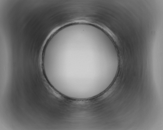 X0000110711240200906121049