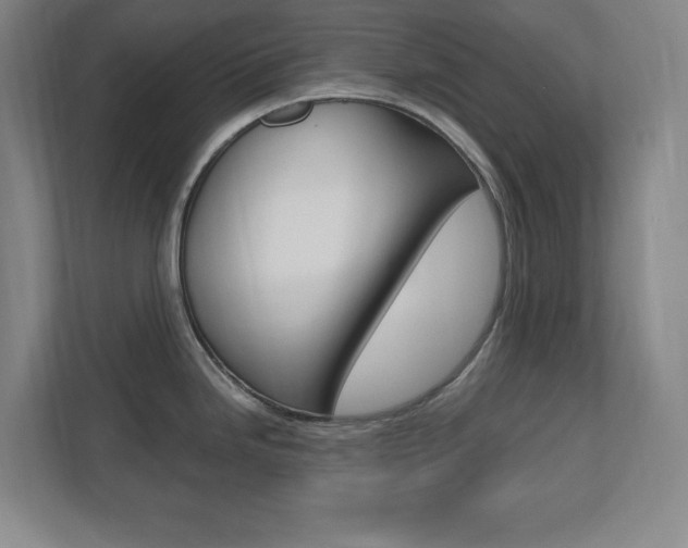 X0000110711246200906121049