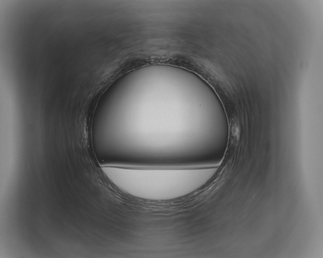 X0000110711252200906121049