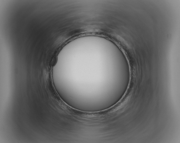 X0000110711257200906121049