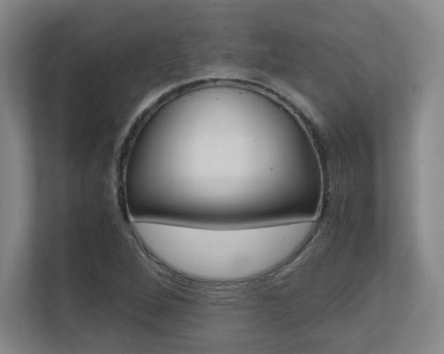 X0000110711264200906121049