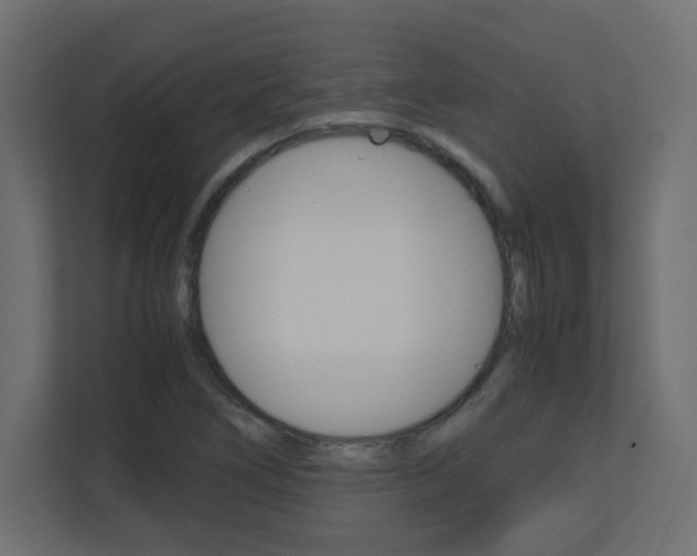 X0000110711266200906121049