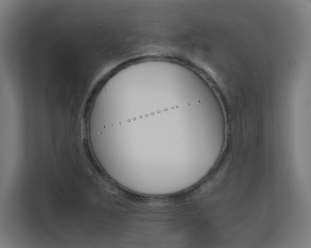 X0000110711267200906121049