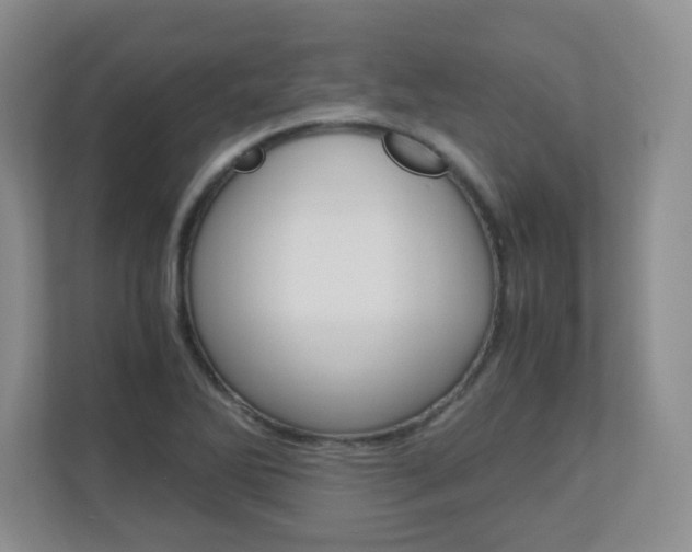 X0000110711270200906121048