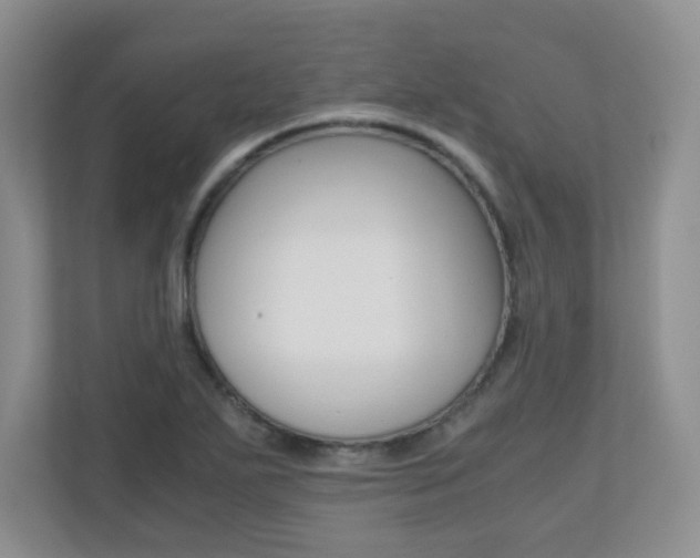 X0000110711271200906121048