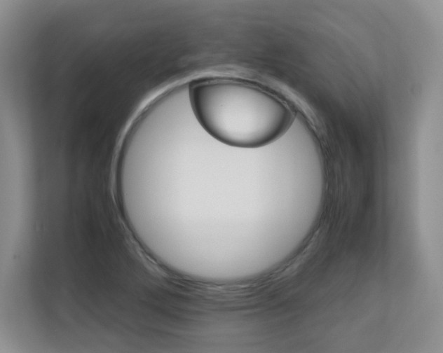 X0000110711272200906121048