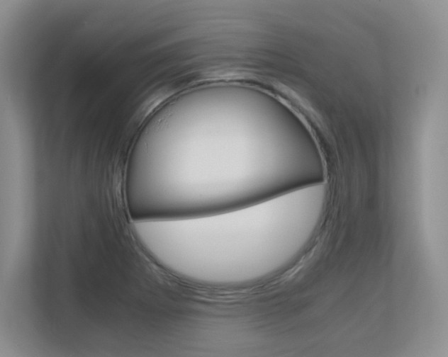 X0000110711273200906121048