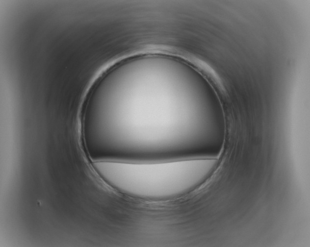 X0000110711280200906121048