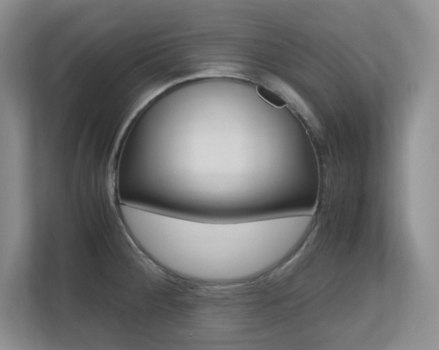 X0000110711284200906121048