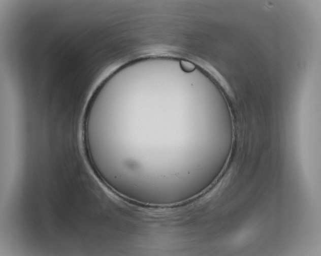 X0000110711285200906121048