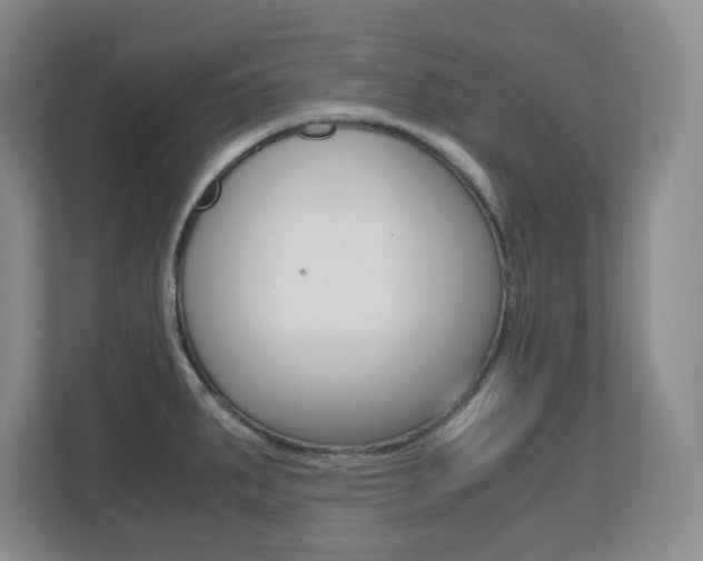 X0000110711287200906121048