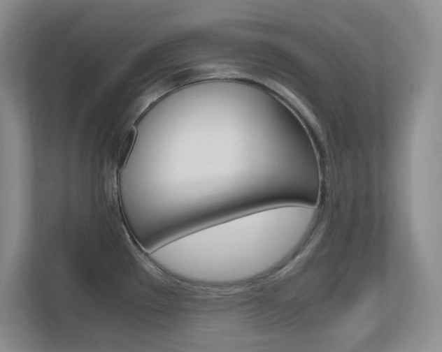X0000110711289200906121048