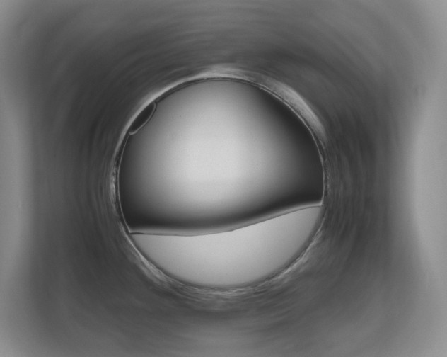 X0000110711292200906121048