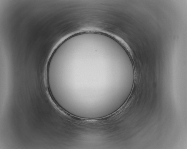 X0000110711295200906121048