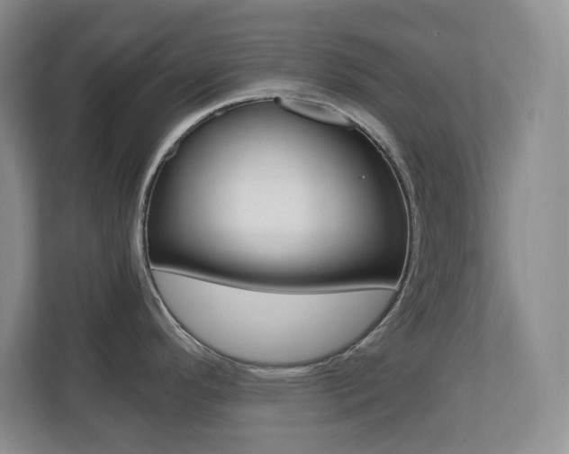 X0000110711296200906121048