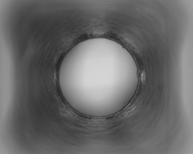 X0000110711299200906121048
