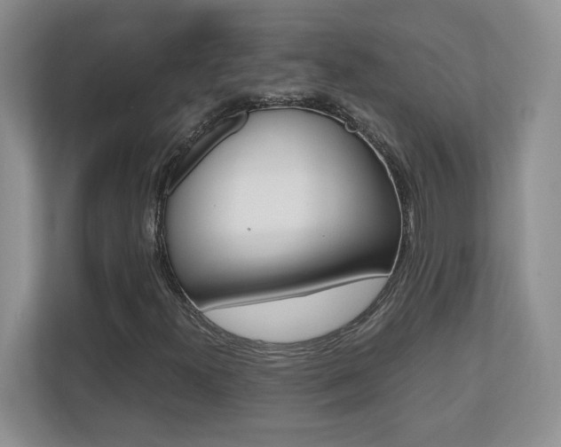 X0000110711300200906121048