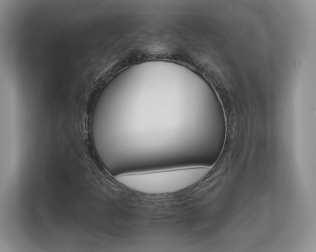 X0000110711301200906121048