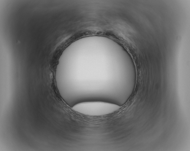 X0000110711302200906121048
