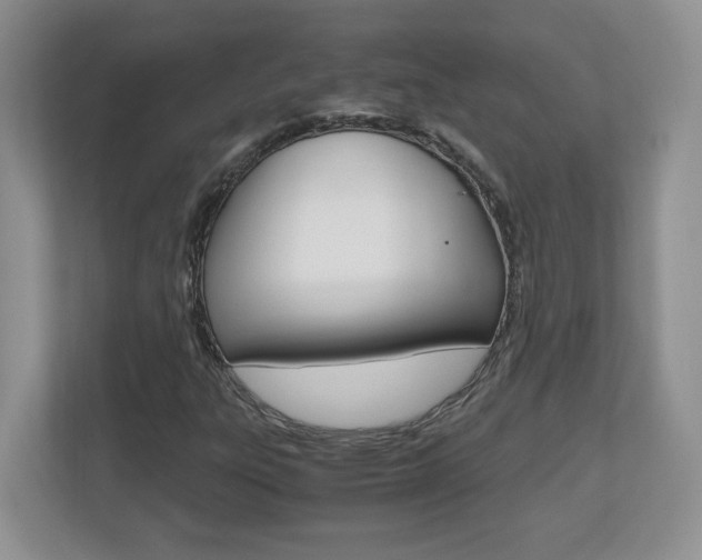 X0000110711303200906121048