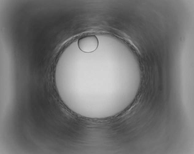 X0000110711304200906121048