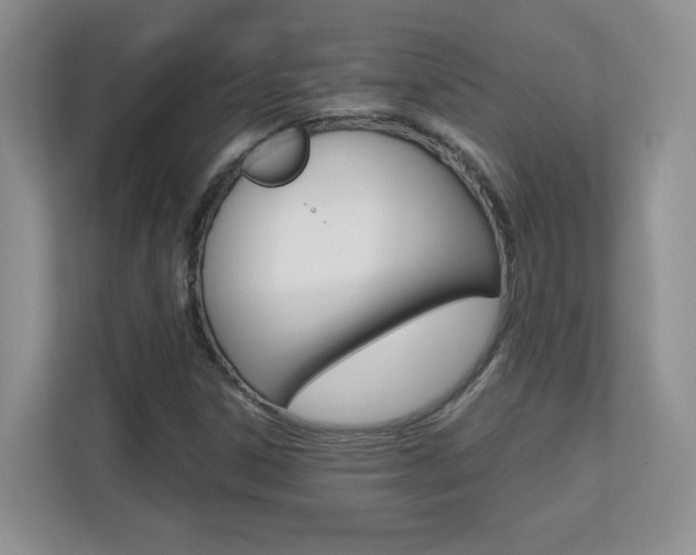 X0000110711306200906121048
