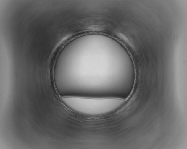 X0000110711307200906121048