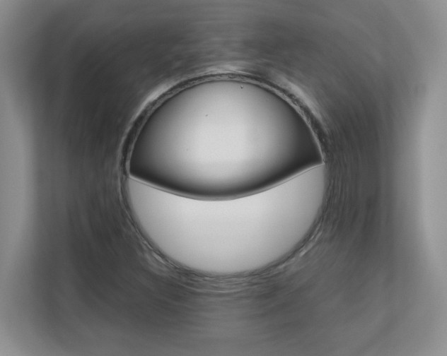 X0000110711308200906121048