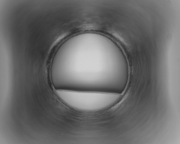 X0000110711309200906121048